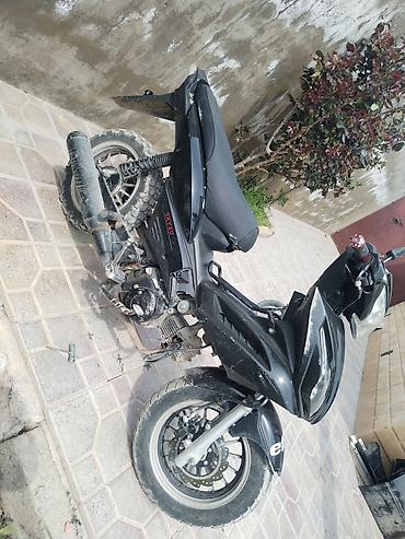 paneler: Barter var ÖZ DƏYƏRİNDƏ XİRDA BUYNUZLU HEYVANLAVA DİGƏR MARAGLİ — 4