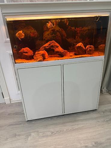 akvarium qiymətləri: İki ədəd 1m uzunluğunda akvarium. Biri şəkildəki kimi balıqları ilə — 2
