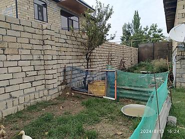 Torpaq sahələrinin satışı: 3 sot, Biznes üçün, Mülkiyyətçi, Bələdiyyə -da lalafo.az — 4 Torpaq sahələrinin satışı: 3 sot, Biznes üçün, Mülkiyyətçi, Bələdiyyə — 4