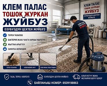 Клининговые услуги: Стирка ковров, | Палас — 1