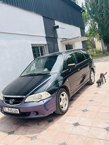 2023: Honda Odyssey: 2023 г., 2.3 л, Автомат, Газ, Минивэн — 1