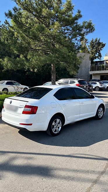 06 шоха: Skoda Octavia: 2016 г., 1.6 л, Автомат, Бензин, Седан — 4