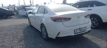outback 2018: Hyundai Sonata: 2019 г., 2 л, Автомат, Газ, Седан — 3