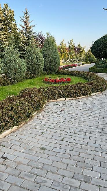 Посуточная аренда квартир: Сдается 2 ком квартира. Иссык- Куль Карвен 4 Сезона. Площадь 70м* — 16