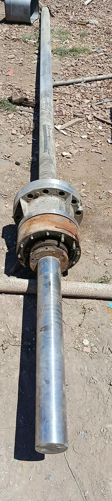 kənd məhsulları: (Nerjavika balbanka) – 90 mm / 4.33 metr : Bütöv nerjavikadır — 3