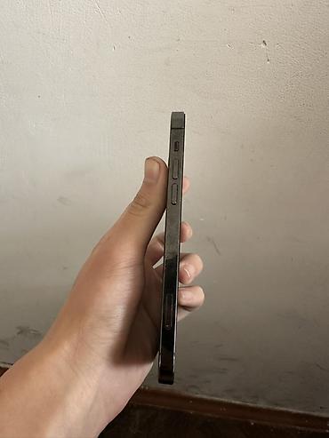 Apple iPhone: IPhone 12 Pro, Графит — 9