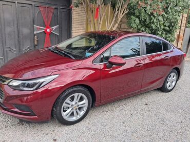 Chevrolet: Chevrolet Cruze: 1.4 l | 2016 il 120000 km Sedan — 17