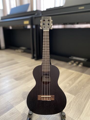 soprano titanium: Ukulele concert. Soprano Concert Soprano Ukulele modellərini