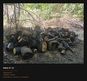 Дрова: Дрова Самовывоз — 1