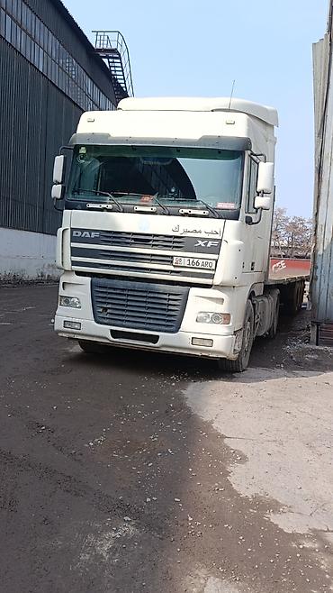 Тягачи: Тягач, DAF, 2006 г. — 11