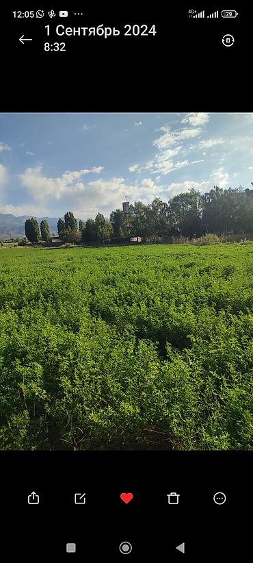 Продажа участков: 13 соток, Для бизнеса — 4