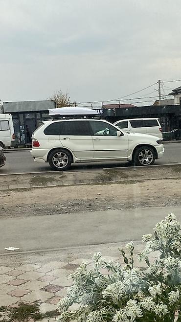 BMW: BMW X5: 2000 г., 4.4 л, Автомат, Бензин, Кроссовер — 14