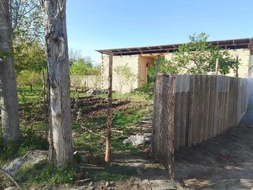 Həyət evləri və villaların satışı: Şəmkir rayon çinarlı qesebesi hezi asslanov küç 11 sot torpaq