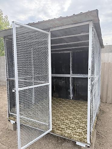 пена потолок: Продаем в связи с тем, что раньше у нас было две собаки и два вольера — 2
