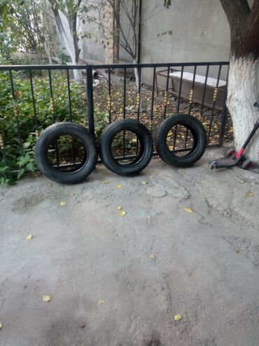 диски на тойота королла: Шины 155 / 65 / R 13, Всесезонная, Легковые, Dunlop
