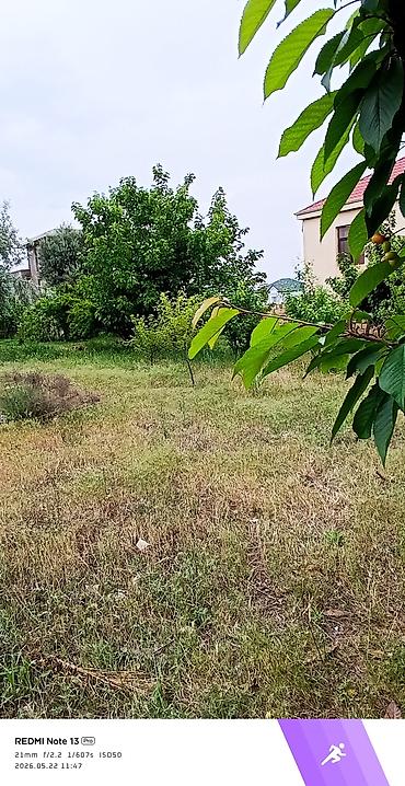 Torpaq sahələrinin satışı: 12 sot, Tikinti, Mülkiyyətçi, Kupça (Çıxarış) — 8