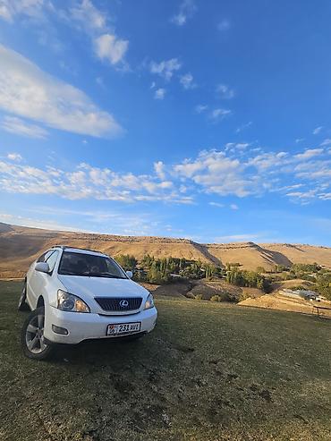 Lexus RX: 2004 г., 3.3 л, Бензин, Кроссовер