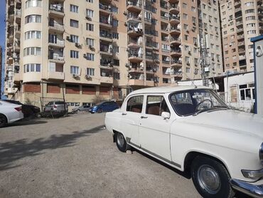 QAZ: Klassik sedan – ağ rəngli, retro dizaynlı Volqa tipli avtomobil — 5