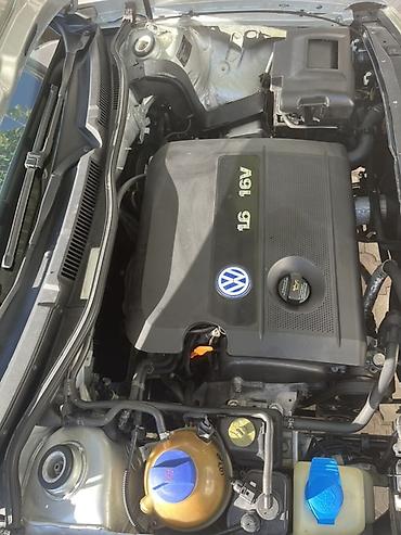 Volkswagen: Volkswagen Golf: 2003 г., 1.6 л, Механика, Бензин, Хэтчбэк — 7