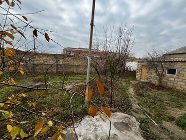 Köhnə tikili: Satılır: tam təmirli, zövqlə dizayn edilmiş 2 otaqlı mənzil üçün mebel — 23