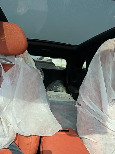 BYD: BYD : 2025 г., Электромобиль, Внедорожник — 11