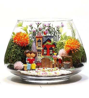 Akvariumlar: Akvarium İstənilən növdə, ölçüdə yumru akvariumlar, terrariumlar — 2