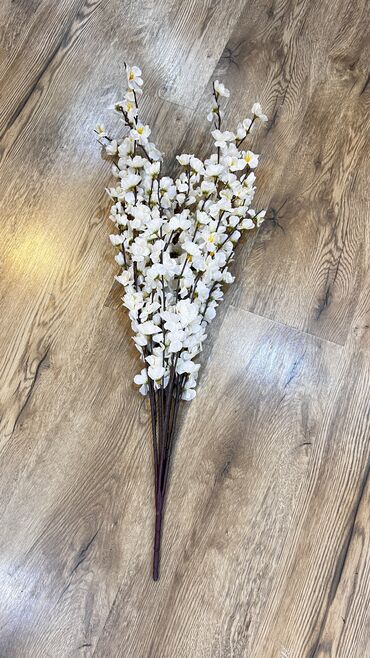 Digər ev dekoru: 10 man baslayan qiymetlerr — 3