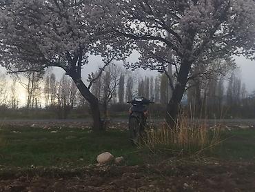 мапет матор: Скутер/мопед 110куб дорожного типа двух местный на колёсах 17 — 2