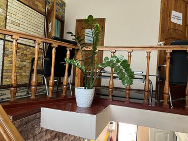 Посуточная аренда комнат: 150 м², С мебелью — 8