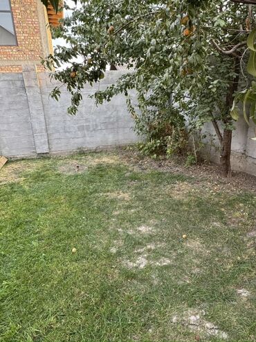 Продажа домов: Дом, 220 м², 8 комнат, Собственник, Евроремонт — 15