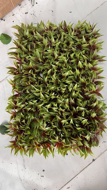 Kovrolin: 10 azn baslayan qiymetler Suni qazonlarin topdan satisi Suni qazon -da lalafo.az — 6 Kovrolin: 10 azn baslayan qiymetler Suni qazonlarin topdan satisi Suni qazon — 6