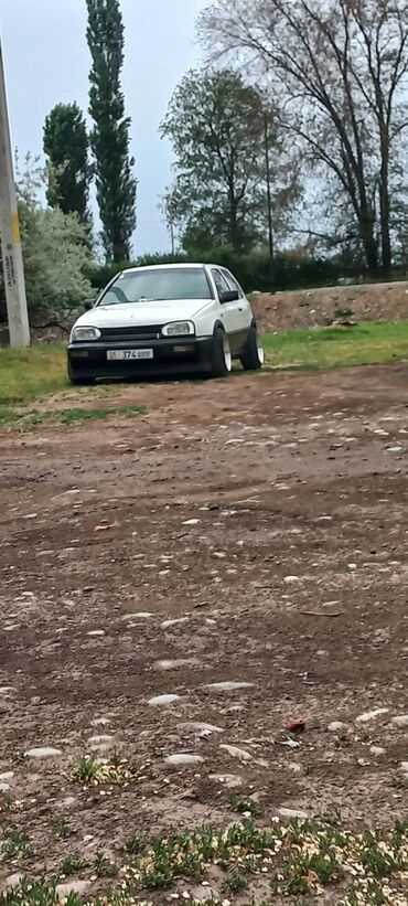 алмашам пассатка: Volkswagen Golf: 1994 г., 1.6 л, Механика, Бензин, Купе
