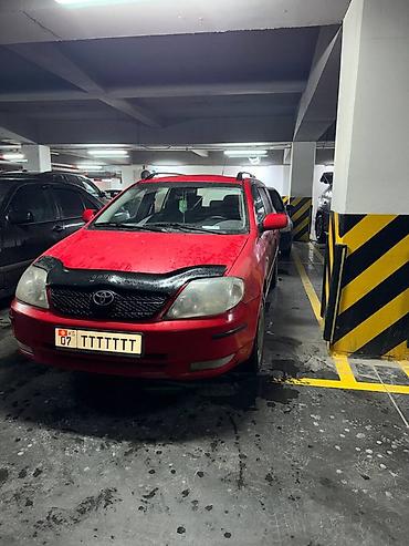 Toyota: Toyota Corolla: 2003 г., 2 л, Автомат, Бензин, Универсал — 5