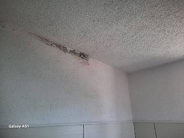 Kućna hemija i proizvodi za kuću: 🌿 PDP koncentrat – efikasno protiv buđi! 🌿 Za zdrav i čist dom bez — 5