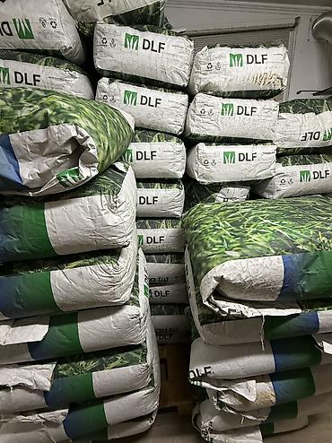 Кормовые растения: Семена кормовых растений: Клевер, Самовывоз, Платная доставка — 10