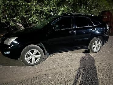 Lexus: Lexus RX: 2004 г., 3.3 л, Автомат, Газ, Кроссовер — 11