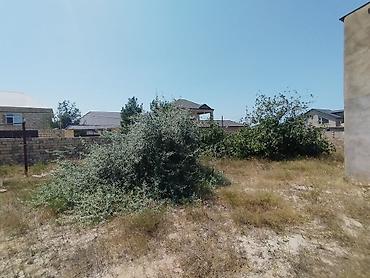 gen: 20 sot, Tikinti, Makler, Kupça (Çıxarış) — 3