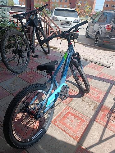155: Горный велосипед, Рама XS (130 -155 см), Сталь, Новый — 2