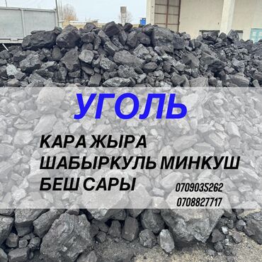 төө куш: Көмүр