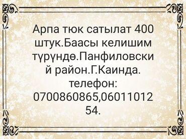 литые диски опель омега б: Арпа тюк 400 штук сатылат.Баасы келишим түрүндө. Панфиловский район