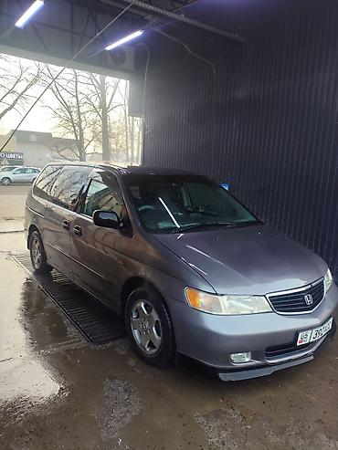 step wgn: Honda Odyssey: 1999 г., 3.5 л, Автомат, Бензин, Минивэн — 1