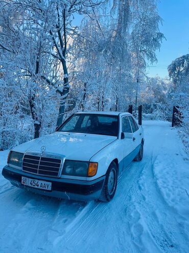 Mercedes-Benz: Mercedes-Benz W124: 1991 г., 2.3 л, Механика, Бензин, Седан — 5