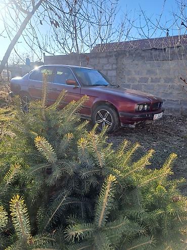 BMW: BMW 5 series: 1992 г., 2 л, Механика, Бензин, Седан — 6
