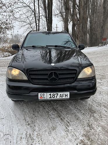 Mercedes-Benz ML-Class: 1999 г., 3.2 л, Автомат, Бензин, Внедорожник