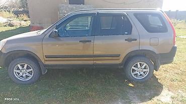 не пригодилось: Honda CR-V: 2003 г., Кроссовер — 2