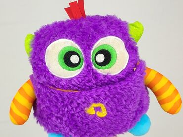 Mascot condition - Very good