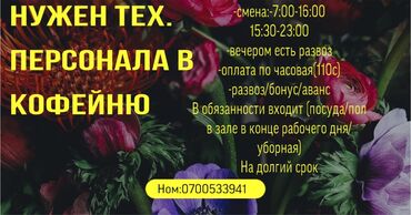 подработка посудомойщица с ежедневной оплатой: Требуется Посудомойщица, Оплата Ежедневно