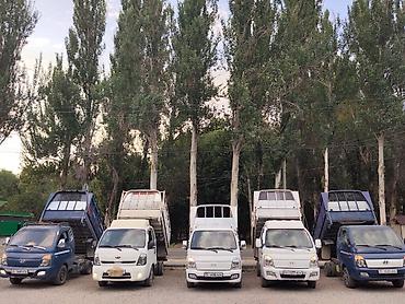 веток: Заказать Хендай портер, Вывоз строй мусора, C грузчиком — 2
