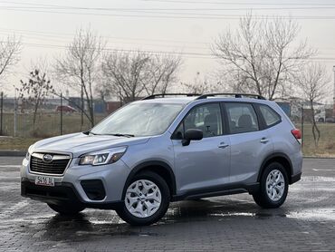 Subaru: Subaru Forester: 2019 г., 2.5 л, Вариатор, Бензин, Кроссовер