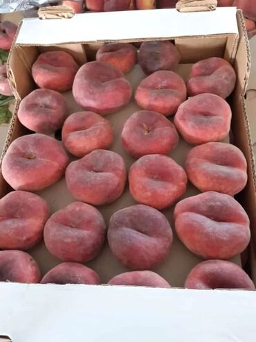 Tinglər: Hər növ meyvə aqcların satşı hər bir sort var çadrlma pulsuzdur meyvə — 2